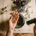 Hands grinding dried herbs with a mortar and pestle, perfect for holistic medicine and aromatherapy.